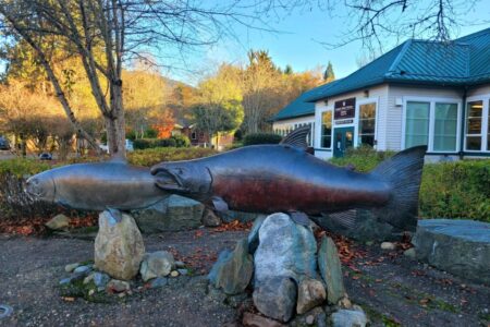 Gilda and Finley, the hatchery’s two coho salmon statues (8-feet long) were created by artist Tom Jay. The sculptures rest among perfect salmon spawning habitat.