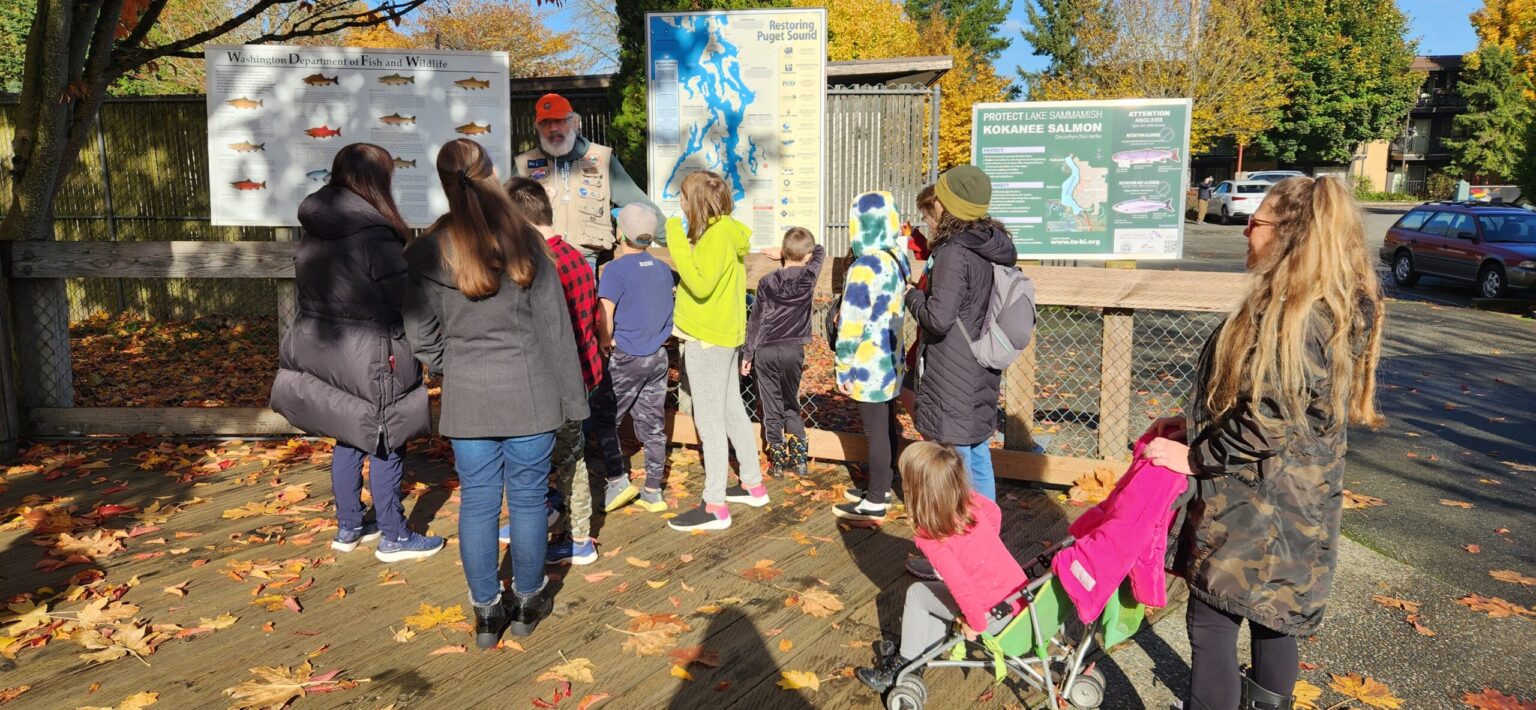 issaquah hatchery tour