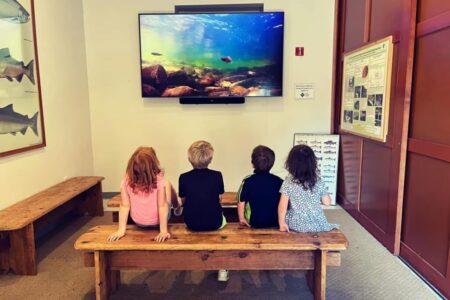 The theater room is open daily 8:30 a.m.-4:30 p.m. and visitors can learn about the hatchery with an 8-minute film, "Salmon, a Miraculous Journey."