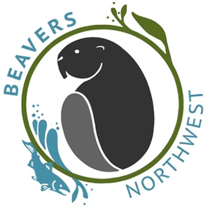 beavers-WEB