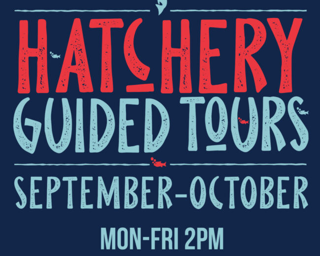 hatchery guided tours square